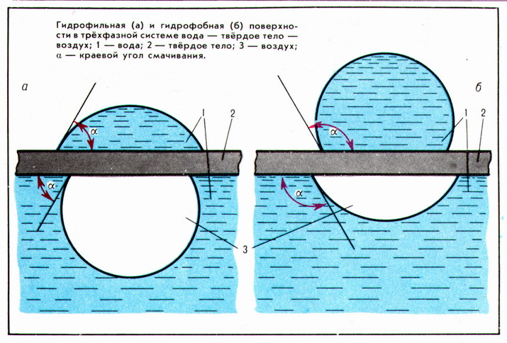 ГИДРОФИЛЬНОСТЬ И ГИДРОФОБНОСТЬ