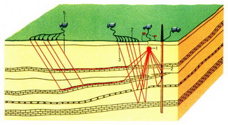 схема проведения сейсморазведочных работ