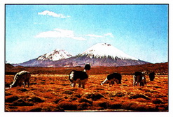Владика Каука в Северных Андах